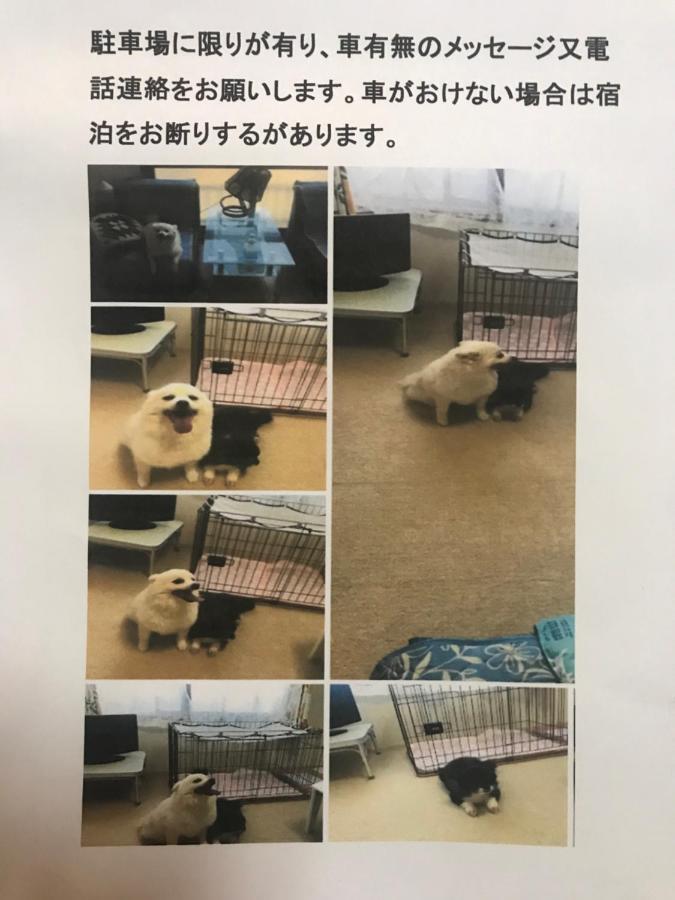 Stay Akeboshi Kan Hakodate Eksteriør billede